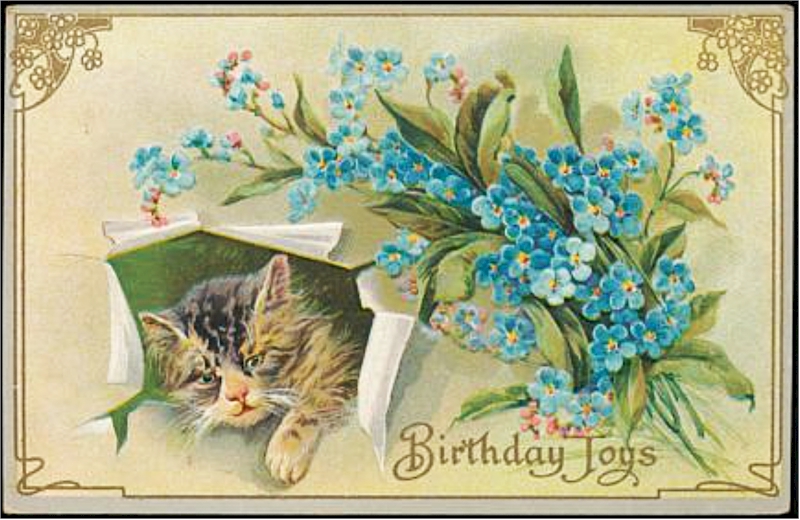 birthday card